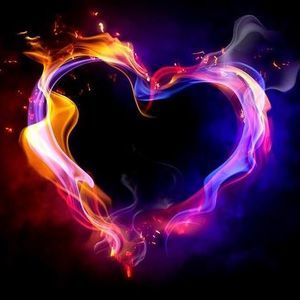 Meet your Posher, Edith